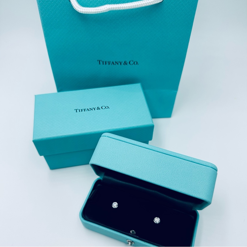 Tiffany & Co. .50 CTW Diamonds by the Yard Earrings in Platinum with Packaging - Picture 14 of 14